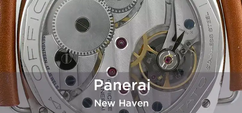 Panerai New Haven