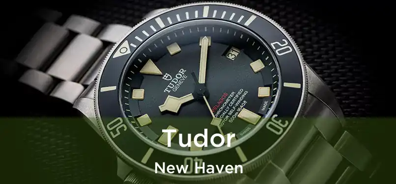 Tudor New Haven